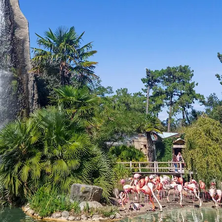 Holiday home Stunning In Surgeres