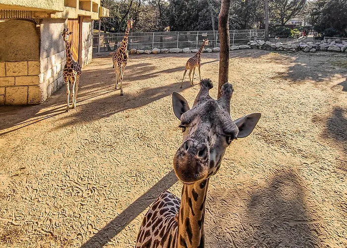 Stunning In Сasa de vacaciones